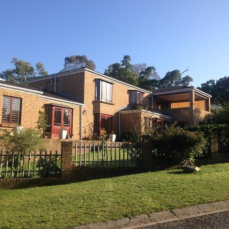 Blue Fern Of Knysna Exterior foto