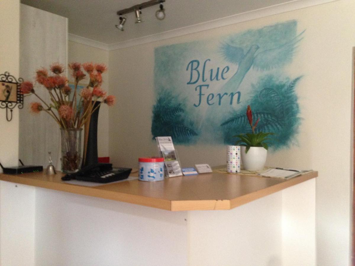 Blue Fern Of Knysna Exterior foto
