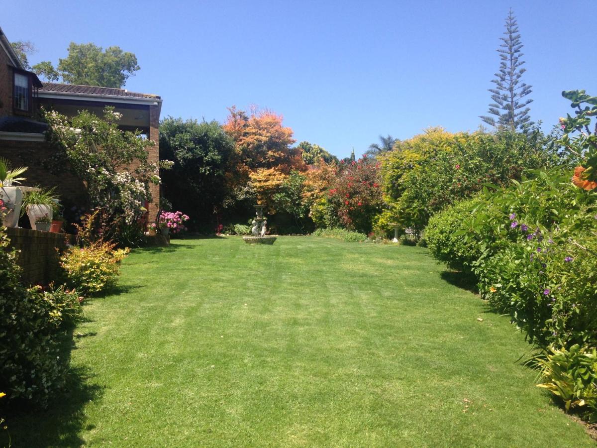Blue Fern Of Knysna Exterior foto