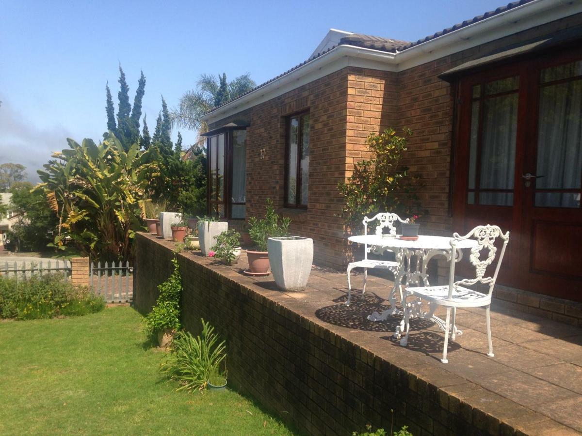 Blue Fern Of Knysna Exterior foto